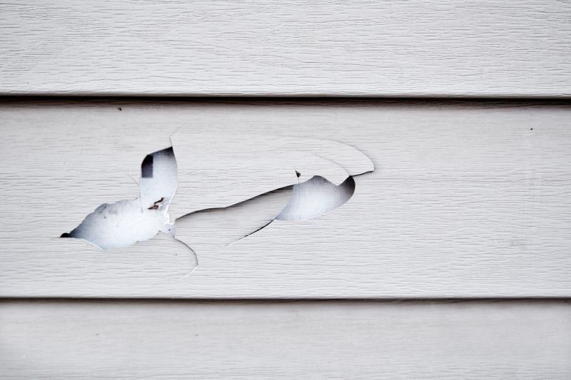 Vinyl Cladding Repair